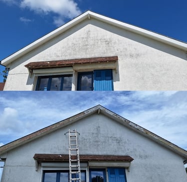 Peinture cache Moineau