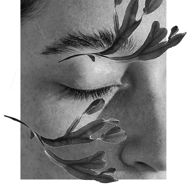 VOYA cosmetics