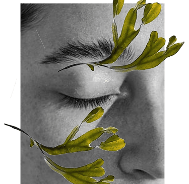VOYA cosmetics