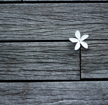 Mastering Photography Composition: How to Use the Rule of Thirds for Stunning Images