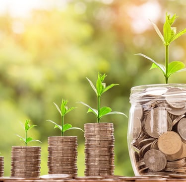 Minimalist Finances: How to Live Rich with Less and Build True Wealth