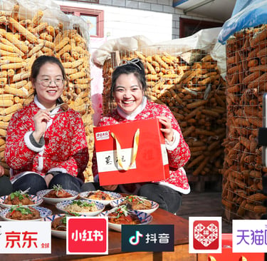 China immersion programme showing market exposure, curated context, business conversations