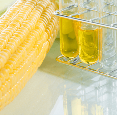 fake honey corn syrup