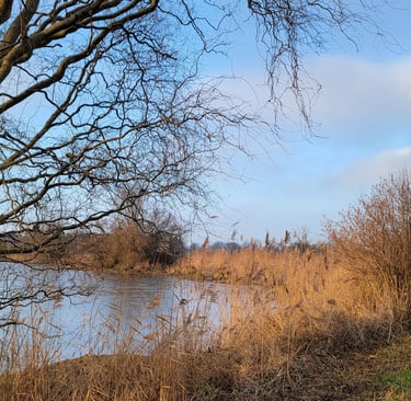 La dombes , les balades autours des étangs , la faune , la flore