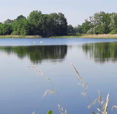 etang calme absolu,sandrans romans