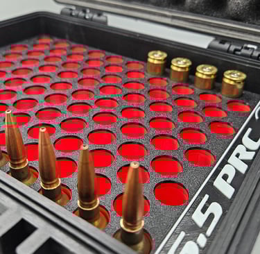 100 Round customized rugged cartridge case