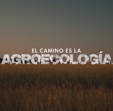 a field with a sign that says, el camino de agroecología