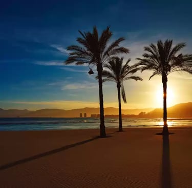 a sunset on a beach with palm trees Faro de Cullera
