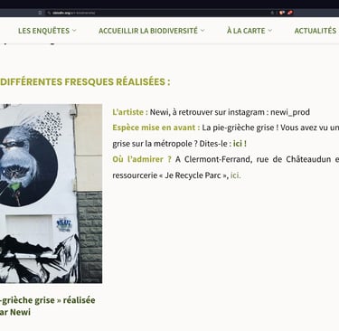 une fresque d'un oiseau noir gris et bleu