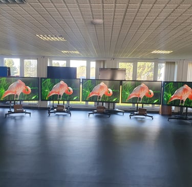 interactive screens