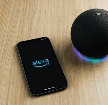 a smart speaker with a black and white phone