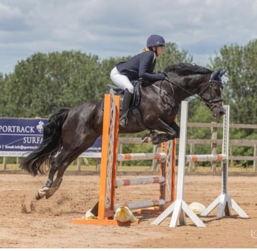 a person riding a horse over jumps