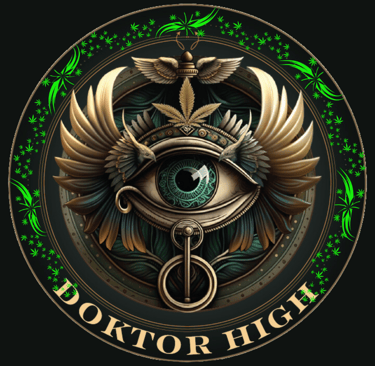 doktorhigh logo with green accents
