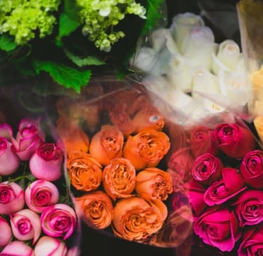 a bunch of flowers are shown in this picture