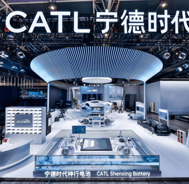a display of a car showroom with a cat on display