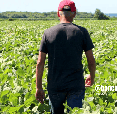 U.S. Tariffs in 2025: A Ripple Effect on Consumers, Manufacturers, and Farmers