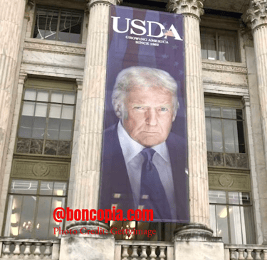 Trump’s Budget Cuts: Federal Workers Fired and Departments Shuttered – What’s Next for America?