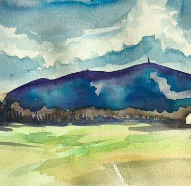 plein air landscapes