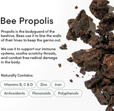 beekeepers-naturals-propolis-throat-spray-bodyguard