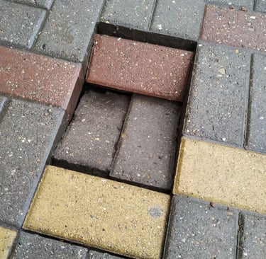 Damaged brick pavers needing repair