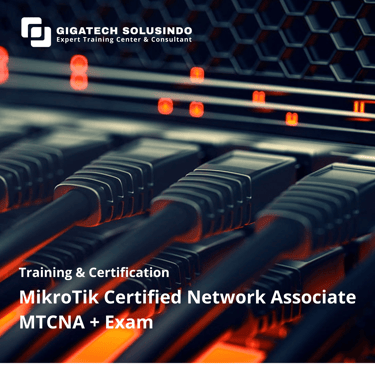 a computer networking network with a network of networked networking and networking