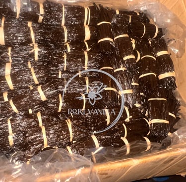 Vanilla beans sorting, sustainable farming 