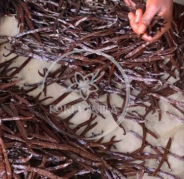 Bulk order vanilla beans 