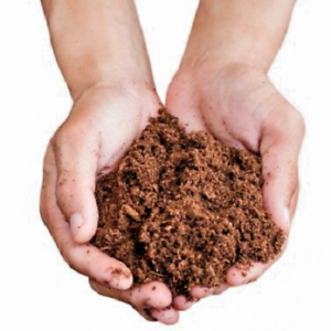 cupped hands full of canadian sphagnum peat moss