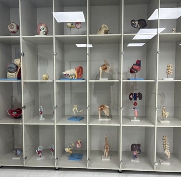 university of south asia kyrgyzstan