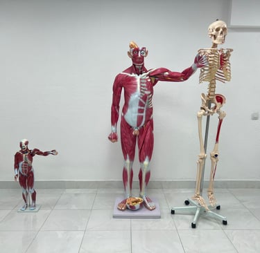 university of south asia kyrgyzstan