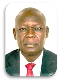 PAUL SAMANGASSOU; Directeur de la Communication et du Déploiement de l'IRES