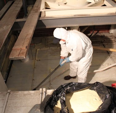 Mouse droppings basement cleanup in Northampton MA