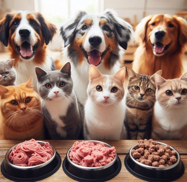 a group of cats and dogs are sitting in front of a table