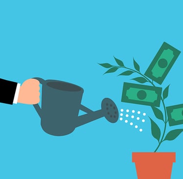 Man watering a plant 