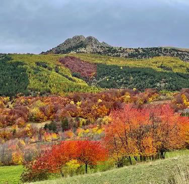 Ceusette_sigoyer_paysage_automne