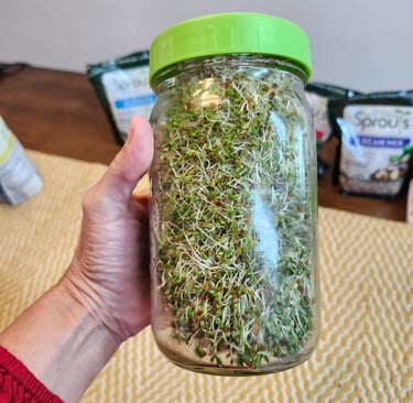 Jar of sprout, illustrating beginner-friendly home sprouting techniques.