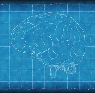 cerebro