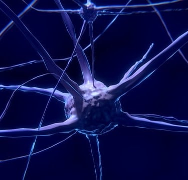 neuronas