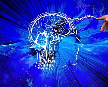 químicos del cerebro