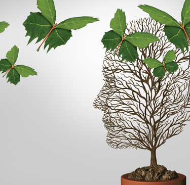a planter with a tree in a potted planter