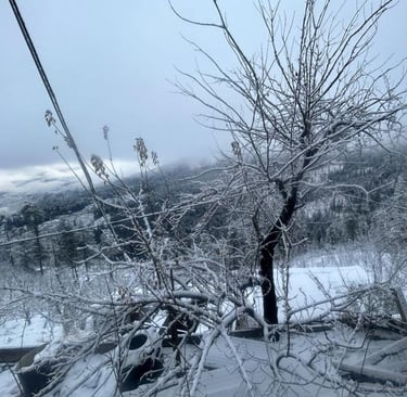 a tree that is covered in snow and has a view of a mountain in the