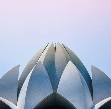 a lotus flower in front of a blue sky