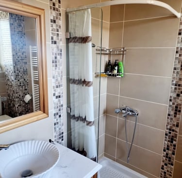 a bathroom with a sink and a shower