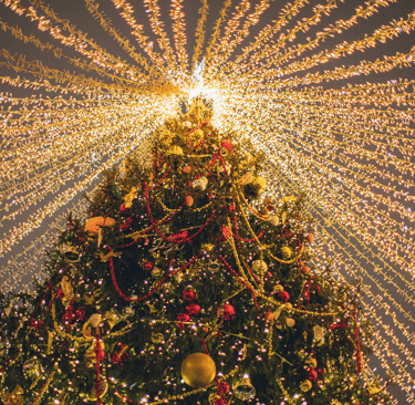 magicien arbre de noël