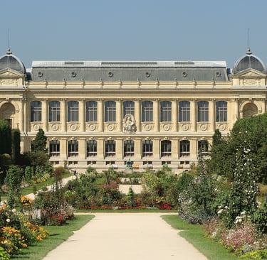 jardin des plantes