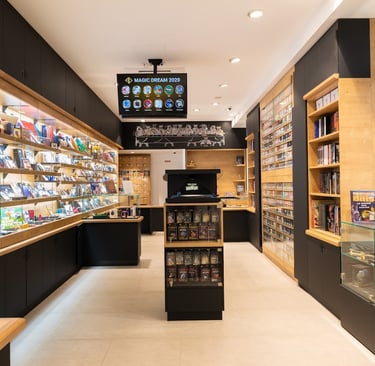 Magic Dream Après Incendie