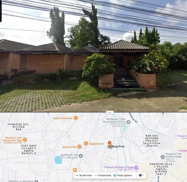 google street view