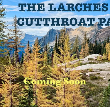 a mountain scene with a mountain in the background