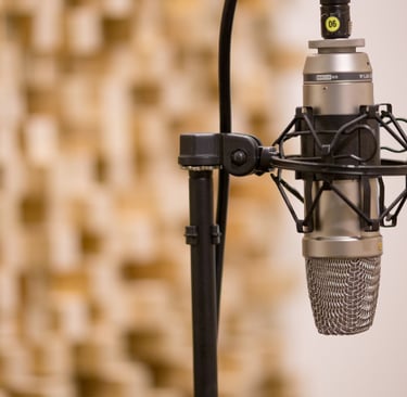 a microphone and a microphone in a recording studio