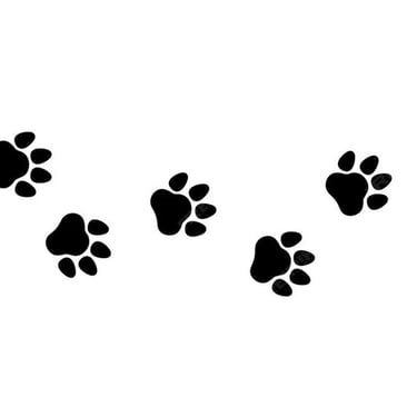 Dog and cat paw prints